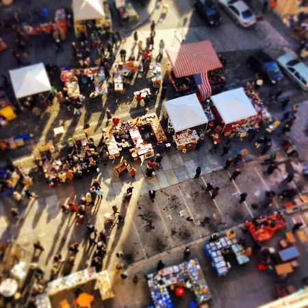 Kwatera prywatna Central Room Camera Privata In Appartamento Not A Hotel Con Bagno E Terrazza Privati Turyn